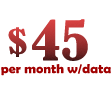 Monthly Data Subscription Price